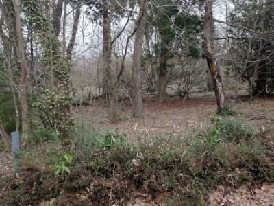 (値下げ) 鳥取県西伯郡伯耆町 伯耆溝口駅 土地 26万円の官公庁公売物件 #2