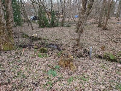 (値下げ) 鳥取県西伯郡伯耆町 伯耆溝口駅 土地 26万円の官公庁公売物件 #3