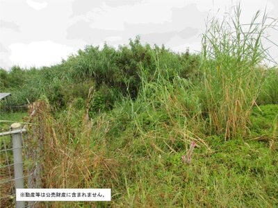 沖縄県うるま市 土地 56万円の国税庁公売物件 #1