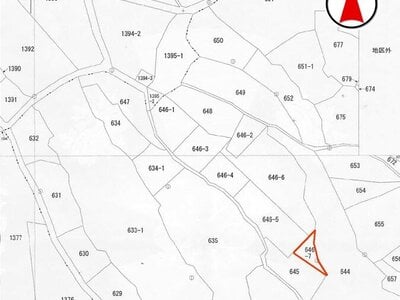 沖縄県うるま市 土地 56万円の国税庁公売物件 #3