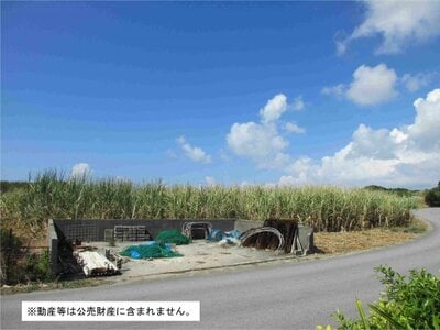 沖縄県糸満市 農地 256万円の国税庁公売物件 #2
