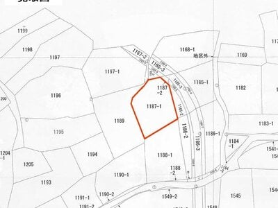 沖縄県糸満市 農地 256万円の国税庁公売物件 #3