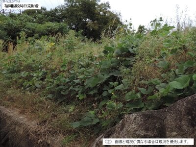 福岡県太宰府市 太宰府駅17分 土地 848万円の国税庁公売物件 #5