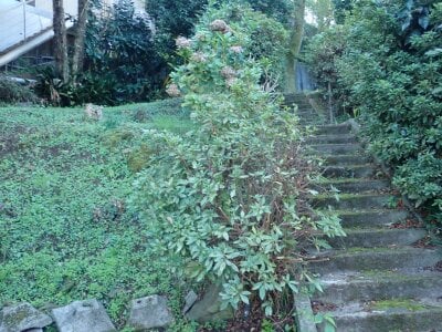 神奈川県足柄下郡箱根町 箱根湯本駅10分 土地 1,457万円の官公庁公売物件 #1