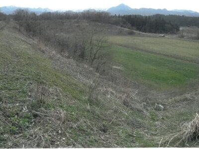 (値下げ) 岩手県北上市 藤根駅 農地 45万円の競売物件 #2