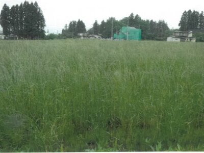 (値下げ) 岩手県北上市 村崎野駅 農地 27万円の競売物件 #3