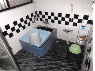 群馬県みどり市 東新川駅11分 戸建て 486万円の競売物件 #5