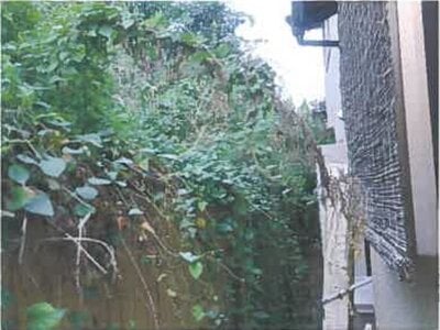 広島県東広島市 西高屋駅9分 戸建て 537万円の競売物件 #3