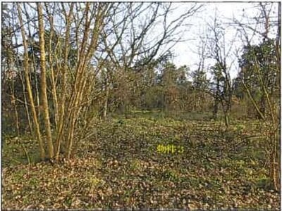 (値下げ) 広島県府中市 府中駅11分 戸建て 464万円の競売物件 #21