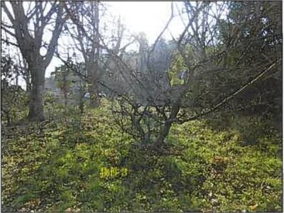 (値下げ) 広島県府中市 府中駅11分 戸建て 464万円の競売物件 #23