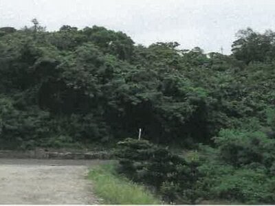 沖縄県うるま市 土地 164万円の競売物件 #2