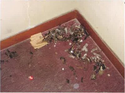 群馬県前橋市 八木原駅 戸建て 718万円の競売物件 #14