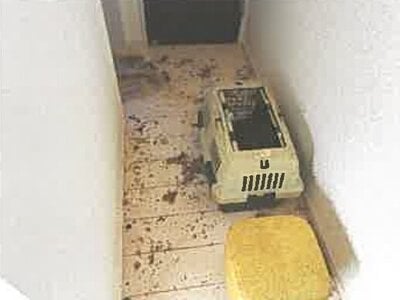 埼玉県ふじみ野市 ふじみ野駅17分 戸建て 823万円の競売物件 #6