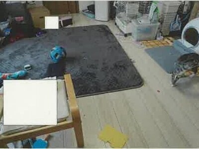 (値下げ) 山梨県韮崎市 韮崎駅22分 戸建て 961万円の競売物件 #13