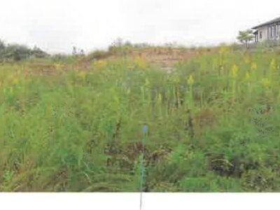 福島県西白河郡矢吹町 矢吹駅17分 土地 1,913万円の競売物件 #16