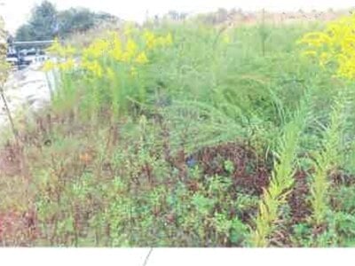 福島県西白河郡矢吹町 矢吹駅17分 土地 1,913万円の競売物件 #3