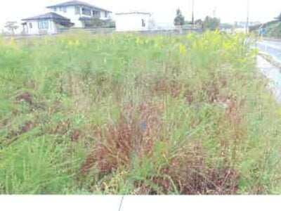 福島県西白河郡矢吹町 矢吹駅17分 土地 1,913万円の競売物件 #4