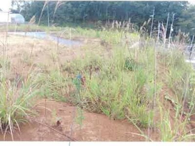 福島県西白河郡矢吹町 矢吹駅17分 土地 1,913万円の競売物件 #9