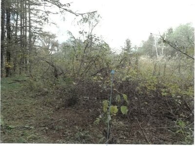 (値下げ) 福島県耶麻郡北塩原村 戸建て 279万円の競売物件 #31