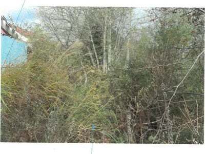 (値下げ) 福島県耶麻郡北塩原村 戸建て 279万円の競売物件 #35