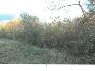 (値下げ) 福島県耶麻郡北塩原村 農地 60万円の競売物件 #10