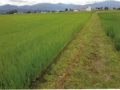 長野県安曇野市 一日市場駅25分 農地 140万円の競売物件 #3