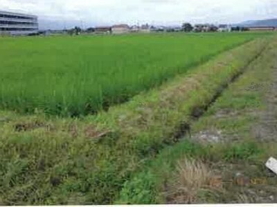 長野県安曇野市 一日市場駅25分 農地 140万円の競売物件 #5