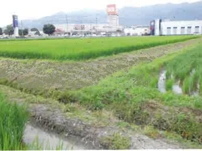 長野県安曇野市 一日市場駅25分 農地 140万円の競売物件 #6