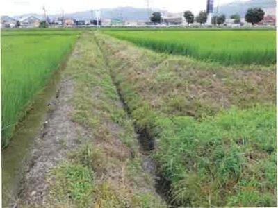 長野県安曇野市 一日市場駅25分 農地 140万円の競売物件 #7