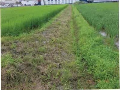 長野県安曇野市 一日市場駅25分 農地 140万円の競売物件 #8