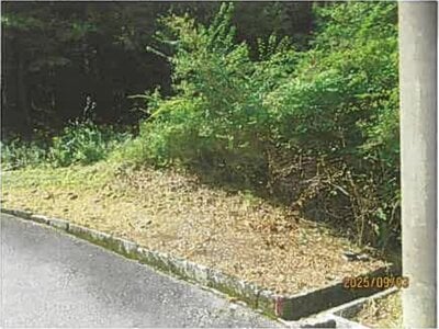 静岡県伊東市 伊豆大川駅 土地 487万円の競売物件 #2