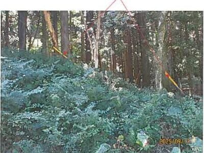 静岡県伊東市 伊豆大川駅 土地 487万円の競売物件 #4