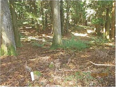 静岡県伊東市 伊豆大川駅 土地 487万円の競売物件 #6