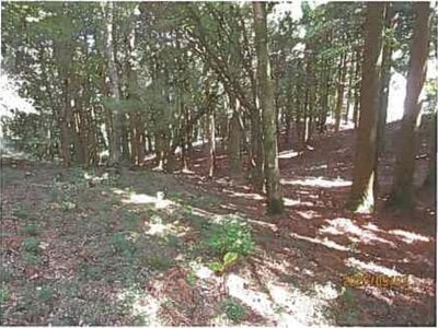 静岡県伊東市 伊豆大川駅 土地 487万円の競売物件 #7