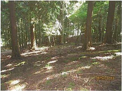 静岡県伊東市 伊豆大川駅 土地 487万円の競売物件 #8