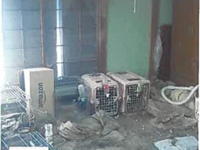 静岡県沼津市 戸建て 118万円の競売物件 #11