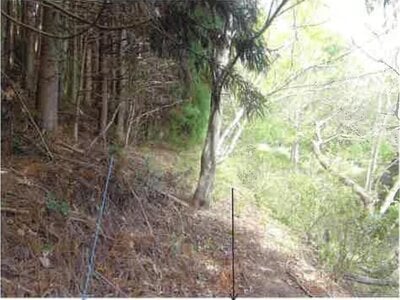 静岡県浜松市天竜区 地名駅 戸建て 107万円の競売物件 #7