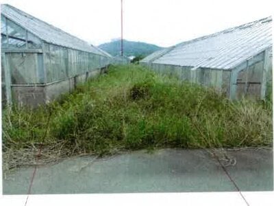 愛知県田原市 農地 43万円の競売物件 #11