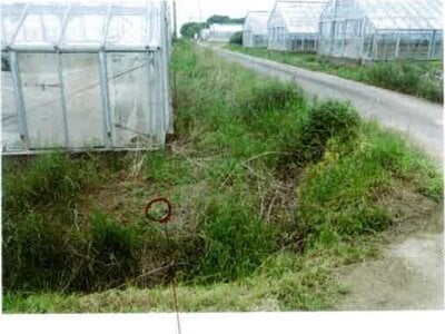 愛知県田原市 農地 43万円の競売物件 #12