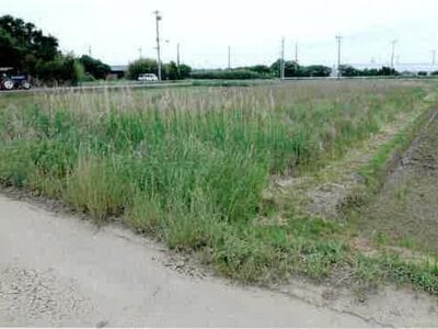 愛知県田原市 農地 43万円の競売物件 #13