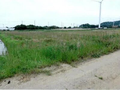 愛知県田原市 農地 43万円の競売物件 #14
