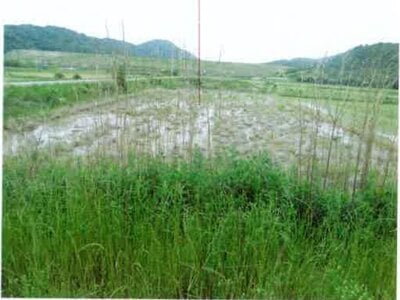 愛知県田原市 農地 43万円の競売物件 #5