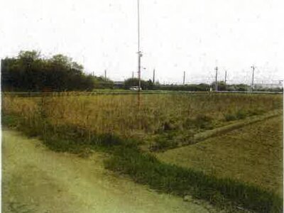 愛知県田原市 農地 44万円の競売物件 #1