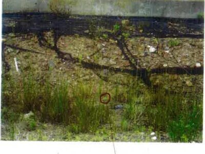 愛知県田原市 農地 44万円の競売物件 #10