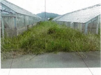 愛知県田原市 農地 44万円の競売物件 #11