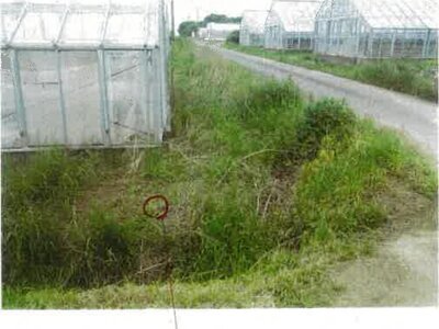 愛知県田原市 農地 44万円の競売物件 #12