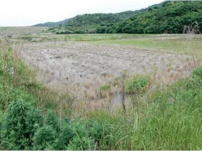 愛知県田原市 農地 44万円の競売物件 #13