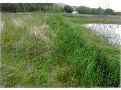 愛知県田原市 農地 44万円の競売物件 #4