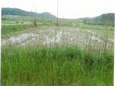 愛知県田原市 農地 44万円の競売物件 #5