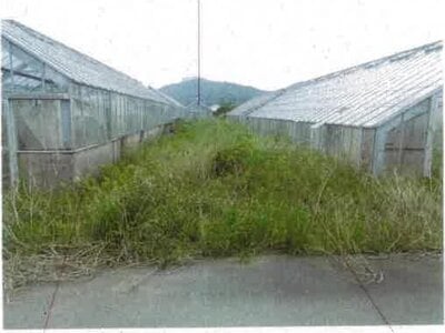 愛知県田原市 農地 87万円の競売物件 #11